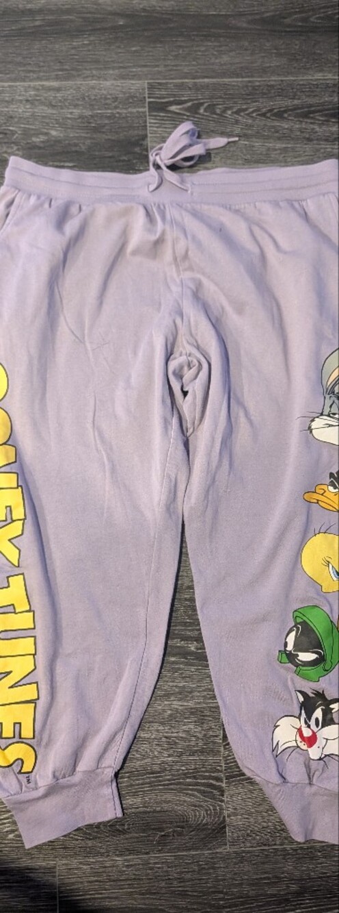 Warner Bros. Lavender Womens Joggers with Looney Tunes Character Row